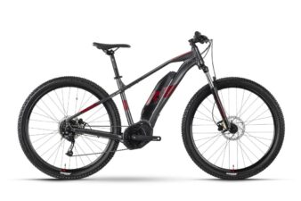 29" Raymon HardRay E 3.0 Hardtail 45 grau rot