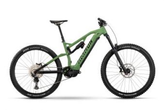 29" Raymon Trailray 170 L 720WH grün matt